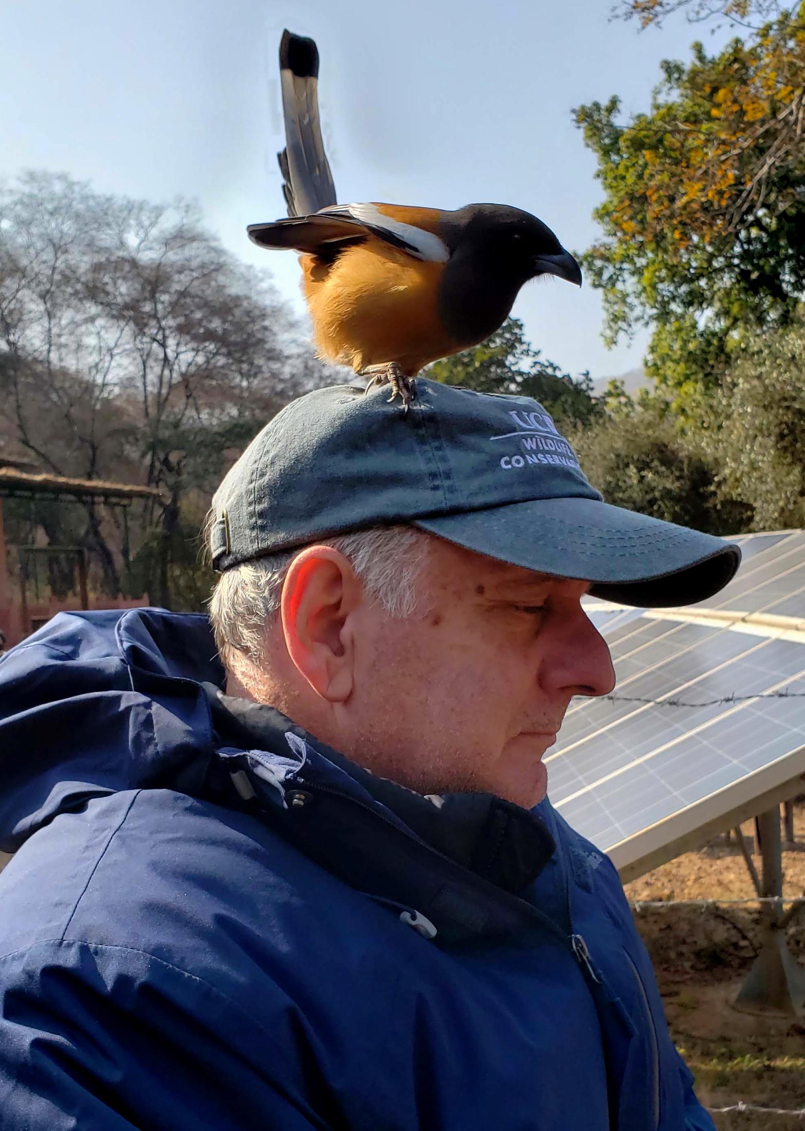 Andy with a bird perched on his hat
