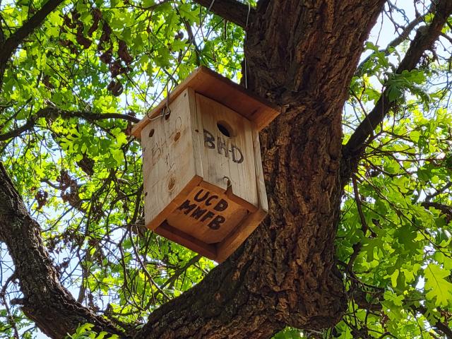 Nestbox at Bird Haven