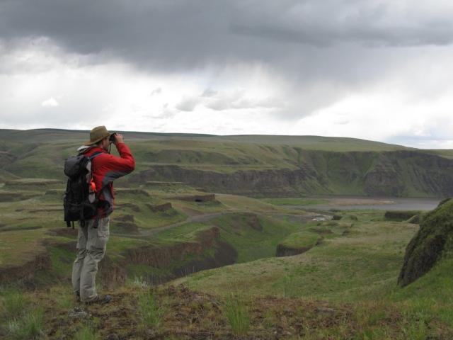 Researcher in the field