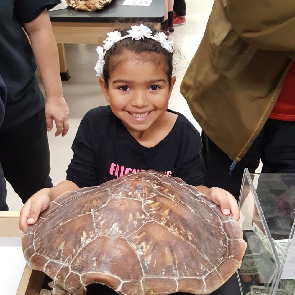 A visitor on Biodiversity Museum Day