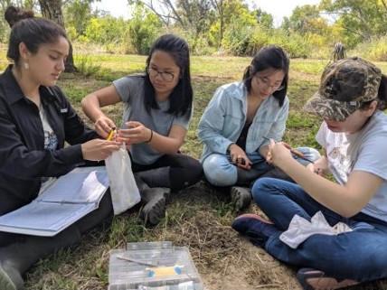 Students banding