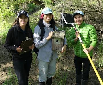 Nestbox interns
