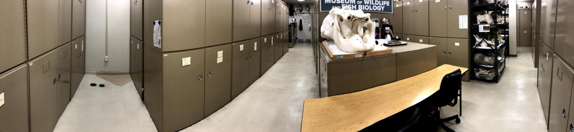 Collections room