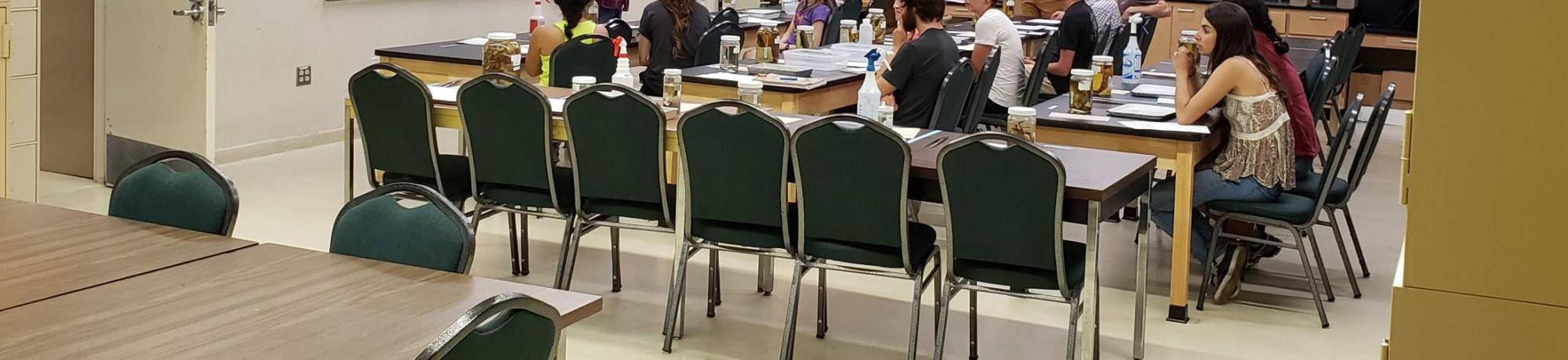 Irene teaching
